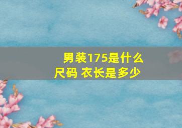 男装175是什么尺码 衣长是多少